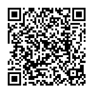 也绝对不是一件容易的事情……除非血禁堂拥有非常特殊的追踪秘术二维码生成