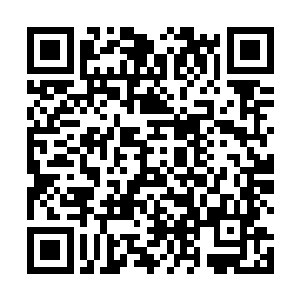 也能在这片属于暗星族统治的天地中夺得一定的话语权二维码生成