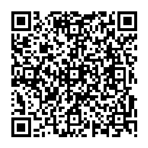 也要等老爷子的寿宴过去之后再折腾的……若是在老爷子的寿宴闹出什么岔子的话二维码生成