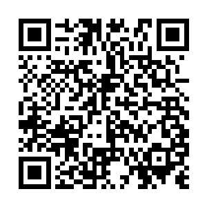 也许 的确是我女娲一脉错了 你说是吗 妲己 二维码生成