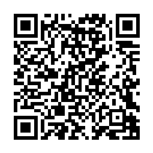 也许如果是秦宇自己的话可能凭这些不能让法官因此判他的罪二维码生成