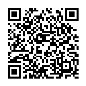 也许我可以研究下你在血族内到底是什么样的存在二维码生成