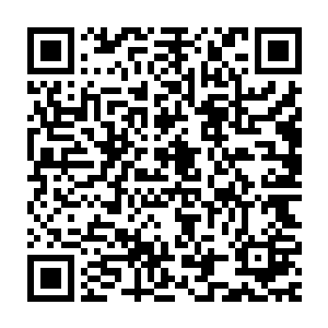 也许我忽视了你……可我是爱你的啊……我爱你我才会杀了你妻子儿二维码生成