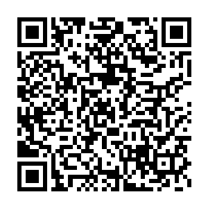 也许是南人这支据说是什么燕王经营起来的军马表现出足够的战力二维码生成