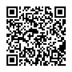 也许是马上要门派试练了来采购灵药灵器的人可不在少数二维码生成