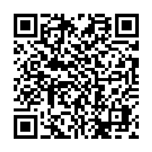 也许这样的特工每年都会接受一定时间的射击搏击培训二维码生成