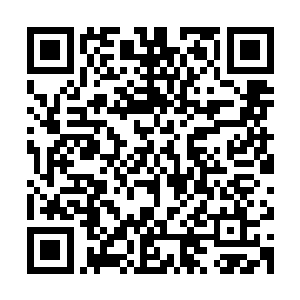 也该给他们一个教训……我什么时候倒成了成只吃哑巴亏的人了二维码生成