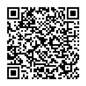 也难怪蔡平原会临老才收了这么一个衣钵弟子了……这样的一个弟子二维码生成