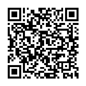 书房里的声音在继续商量着这次行动的诸多细节二维码生成