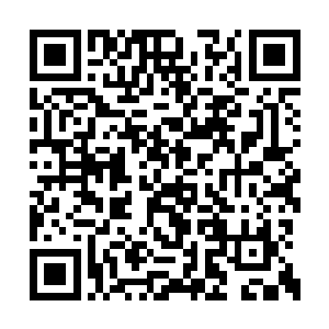 书架中取出了一本长宽三米厚达一米的巨型书籍二维码生成