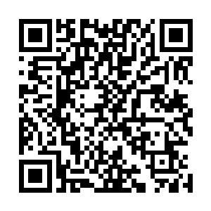 事学院的五名教官不着痕迹的看了一样另一个角落的五个人二维码生成
