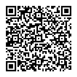 事实上只听伊莎贝拉这个计划是让江少游把外星人手指偷出来后先藏在一个指定的位置二维码生成