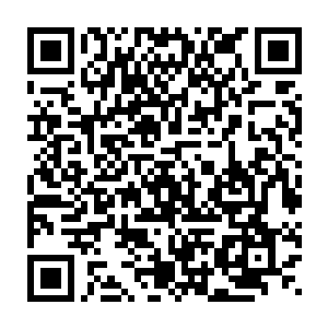 事情的起因是江龙潭的消失――我不相信是江逐流杀死了自己的父亲二维码生成