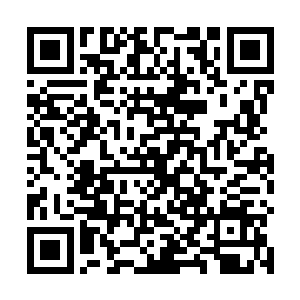 二十多位弟子已经在下二层的路口那瞪着眼睛等我们了二维码生成