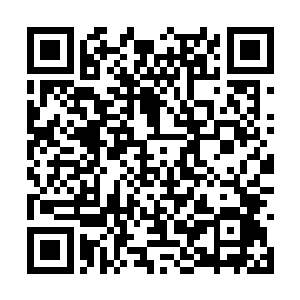 二皇子手里摊着一枚白亮亮很透明的水晶记忆果实二维码生成