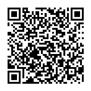 二话不说和登记员跑出去背回来两大袋精灵宝钻倒进仪器背后的一个容箱二维码生成