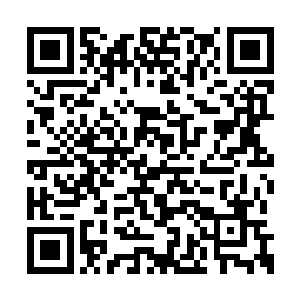 二长老和三长老已经是龟族目前实力最强的人了二维码生成