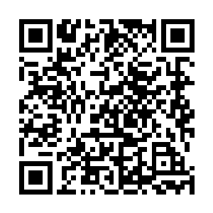 于是便要动手让两人在回到海澜府之前瞬间将两人抹杀掉二维码生成
