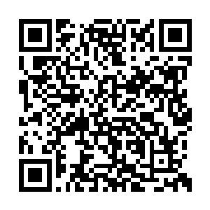 于是流墨墨私下交代宠物们以及雪如楼和血幽紫二维码生成