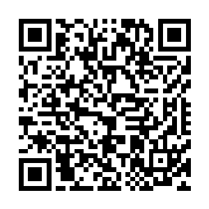 于是莫小鱼赶紧从后面的博古架上拿出上次自己用过的杯子二维码生成