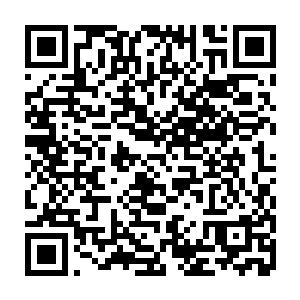 于是这就让他们看荣光更不爽了――你个菜鸟凭什么学习速度比我们还快二维码生成