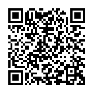 云峥在经过剧烈的思想斗争之后才不得不承认自己确实有疏漏二维码生成