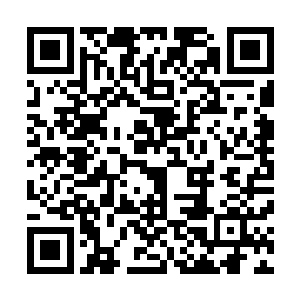 云豹不能够眼睁睁地看着许家的冲击最终变成对他们的威胁二维码生成