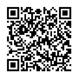 云起舞已经拿着御灵神镰威武地从落家大门走进来二维码生成