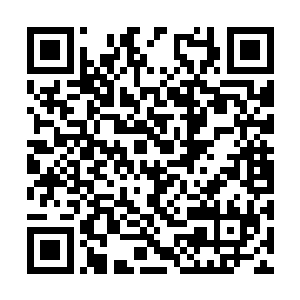 五位高矮胖瘦各自不一教师模样的人依次走了进来二维码生成