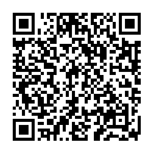 五大宗门的弟子也都在擂台上尽量的为了入围的名额而不断的拼搏……二维码生成