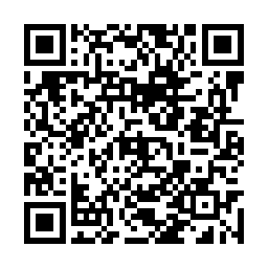 五根修长有力的手指握住了绝刀那长而古朴的刀柄二维码生成