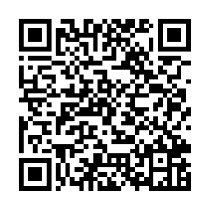 五百张紫金卡仿佛在他们看来不过是五十两银子一样二维码生成