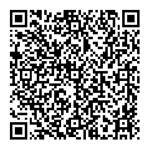 亚雷塔系雷龙……骨暴龙……还有赤翼巨兽龙……没有错……当时这个机械基地上的士兵种族配置确实是这三种恐龙目为主没有错二维码生成