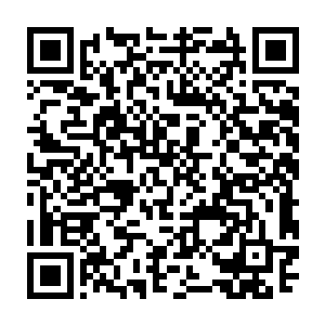 交由青梅和青菊利用随军灵鹫迅速将法旨传给了还未与之汇合的各山人马二维码生成