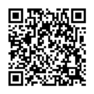 交给了等候在那里的杨伯……每一个拥有选票的帮中长老二维码生成
