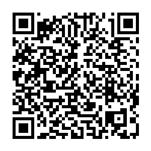 亦是叶笑也将自己身边的强力人手分派出去之时……一直窥伺在一边的两大宗门二维码生成