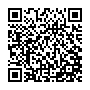 京兆尹许竟源那里终于传来了堂审结果――吕瑶与吕萍姐妹争斗二维码生成