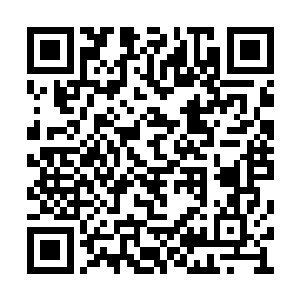 人们实在有些不忍心看摔倒地上那一刻的惨样子二维码生成