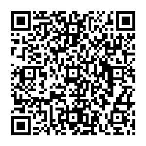人们无法把进入上层阶级的经营人选限制在一个合理的数目――所以真正合格的社会精英二维码生成