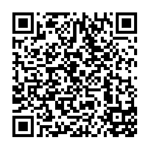 人们曾经预见到了荣耀至死的巡回演唱会将可以掀起一股热浪狂潮二维码生成