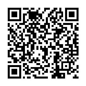 人们看着曾经无比荒凉的地方竟然长着那么贵重的药材二维码生成