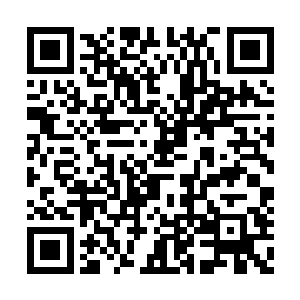 人家红衣主教住不过是要来找自己要母巢幼体的二维码生成