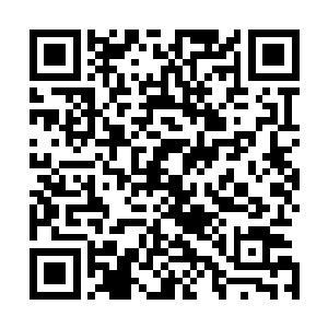 人族手上的小石族在这些年的大战中几乎都已经消耗干净了二维码生成