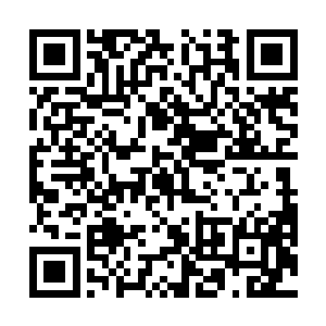 人族甚至还可以想办法规避妖蛮巫医最常用的治疗手段二维码生成