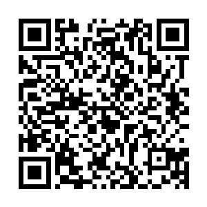人生一直是easy模式的秦幼宁如同娴熟的猎手一点点向李裕靠近二维码生成