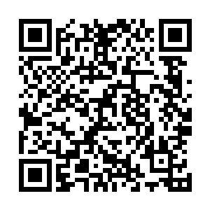 人类强者几乎是不可能杀死实力和他出于同一水平的魔兽的二维码生成