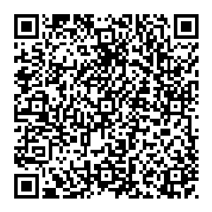 人群开始慢慢散去 有的追着油行的队伍而走 有的人则是前往就近的酒吧 饭店 庆祝狂欢节 以及女王陛下的生日二维码生成