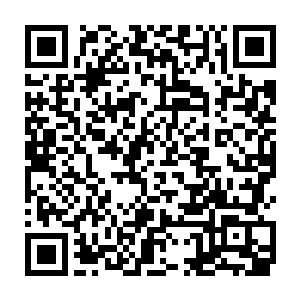 什么事值得你在这深更半夜大呼小叫不懂规矩的闯到姨娘的院里来二维码生成