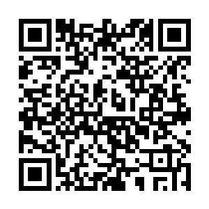 什么学历简历都不要一样能在我的公司做得风生水起二维码生成