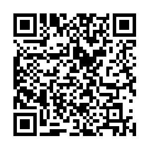 仅仅只有当联邦宪法或联邦法律与州宪法或州法律相抵触时二维码生成